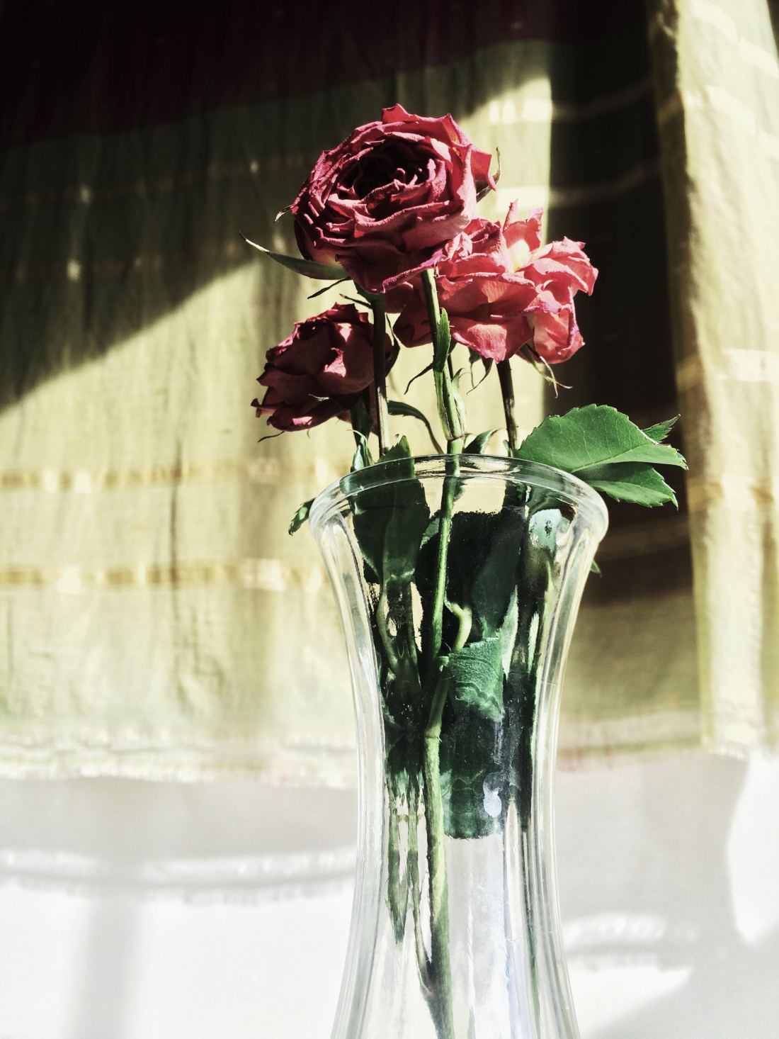 Processed with VSCOcam with se3 preset